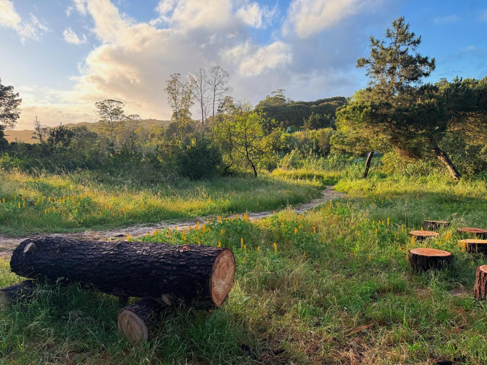 שארנקה Coastal Garden Paradise Retreat- 6 Min From The Beach מראה חיצוני תמונה