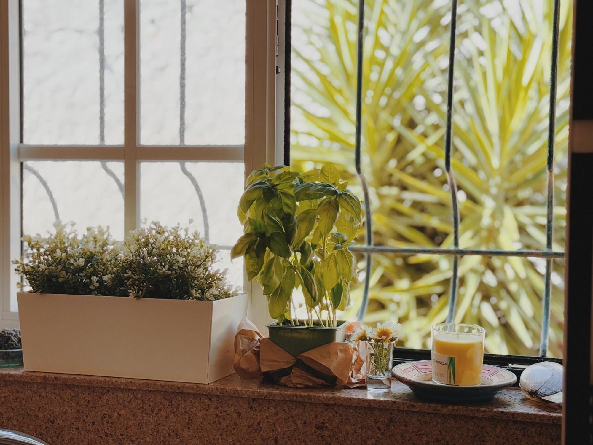 שארנקה Coastal Garden Paradise Retreat- 6 Min From The Beach מראה חיצוני תמונה